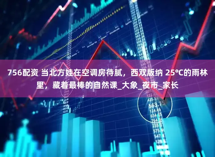 756配资 当北方娃在空调房待腻，西双版纳 25℃的雨林里，藏着最棒的自然课_大象_夜市_家长