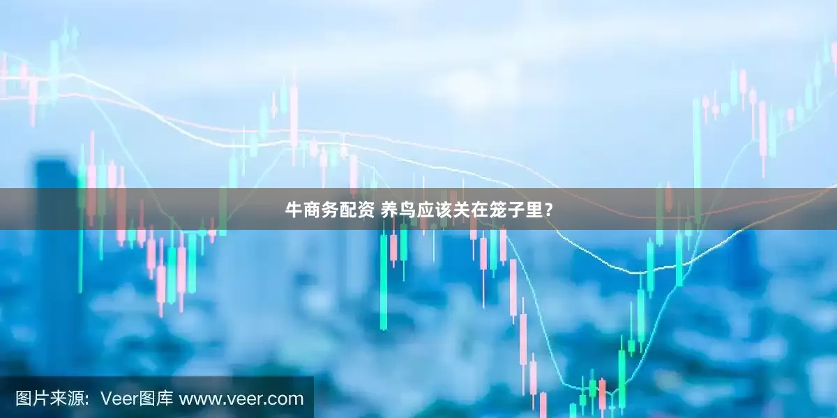 牛商务配资 养鸟应该关在笼子里？