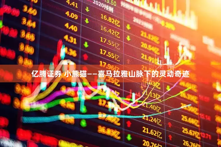 亿腾证券 小熊猫——喜马拉雅山脉下的灵动奇迹
