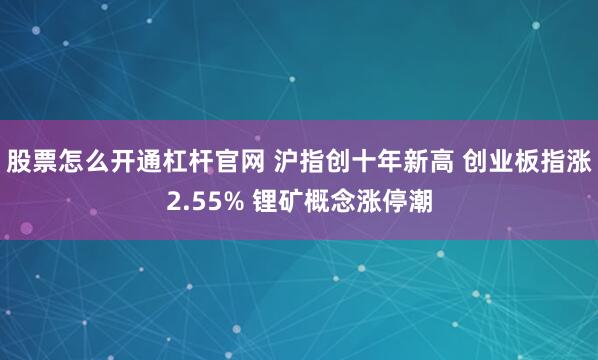 股票怎么开通杠杆官网 沪指创十年新高 创业板指涨2.55% 锂矿概念涨停潮
