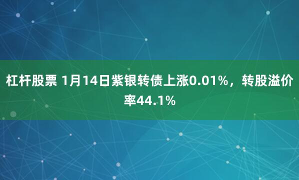 杠杆股票 1月14日紫银转债上涨0.01%，转股溢价率44.1%